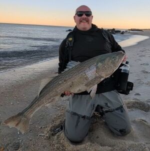 Meet your Posher, Pete